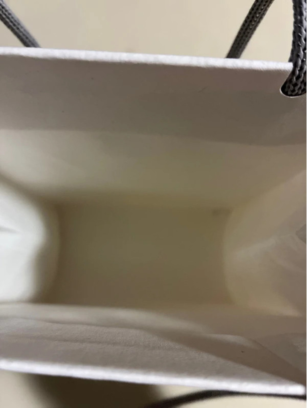 Apple Store bag only - Picture 2 of 2